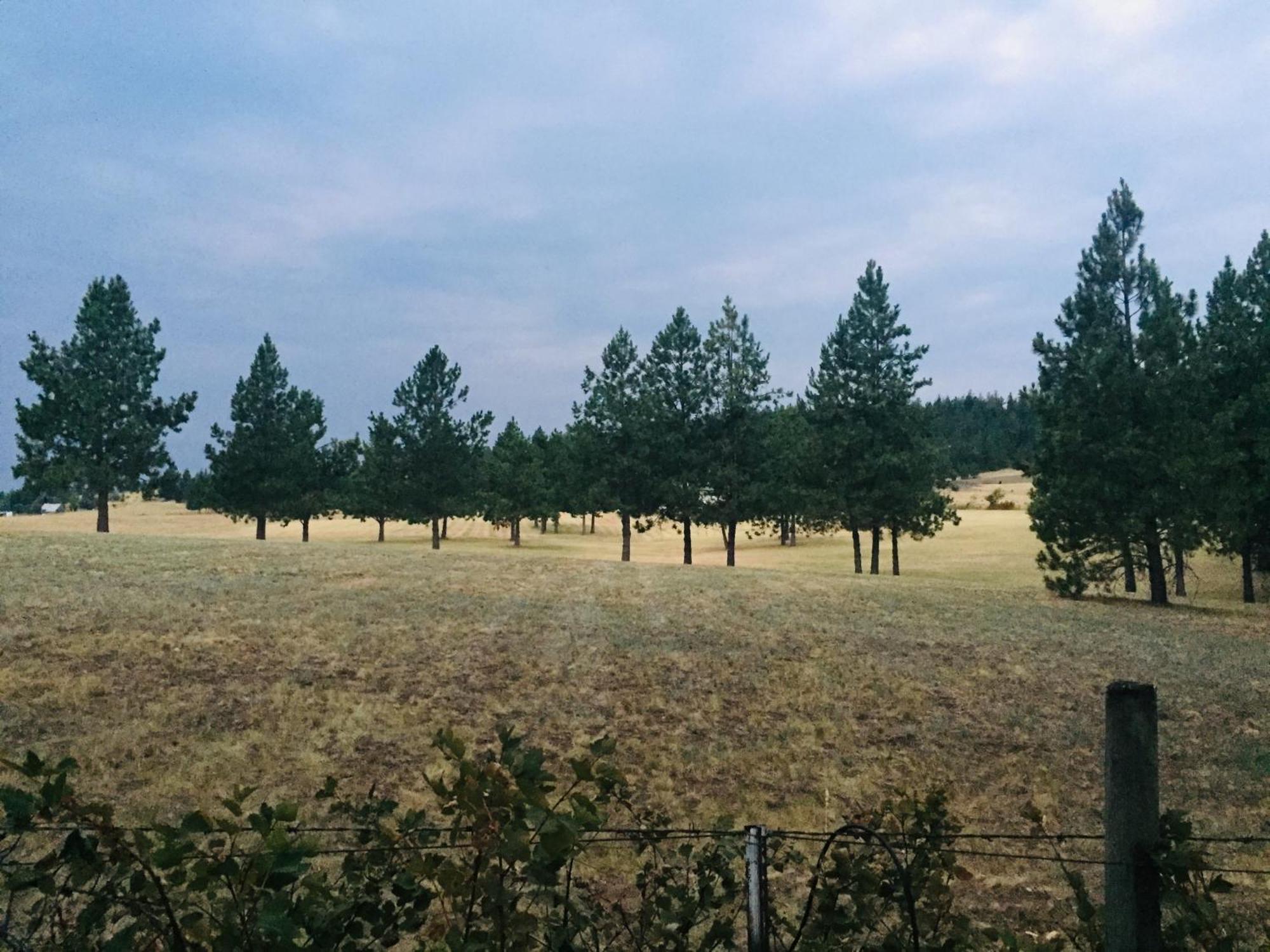The Silverwood Lodge Athol 外观 照片
